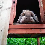 Hotel Zur Eiche Elsteraue