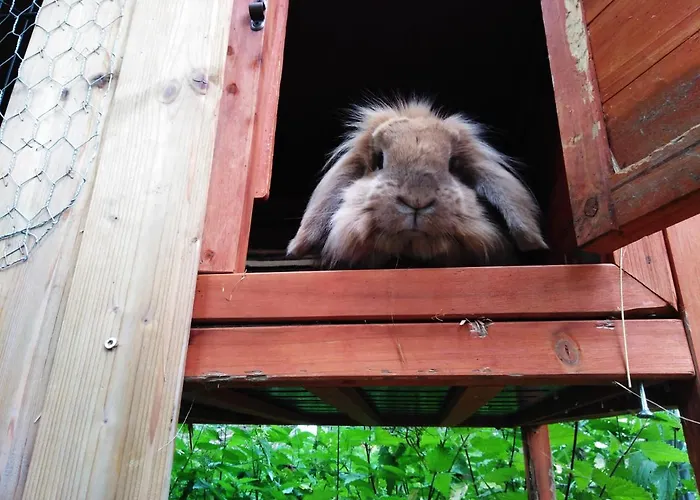 Hotell Zur Eiche Elsteraue